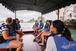 Swan Cruise: Bai Tu Long Bay, Cave & Vung Vieng Village